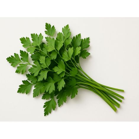 Graines BIO de Persil Plat Commun 2 - 750 graines - Persil aromatique pour jardin, balcon, potager, balconnière et culture en pot (1/5)