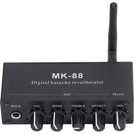 Amplificateur Audio Bluetooth 5.0 avec Effets Karaoké, Double Entrée Micro et Alimentation 12V (1/5)