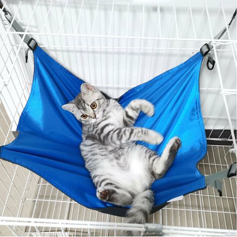 Hamac à suspendre pour chat, chaton, furet, chiot, double face, épais, pour petits animaux jusqu'à 25 kg, durable, étanche, 42 x 56 x 0,3 cm (Bleu) (1/5)