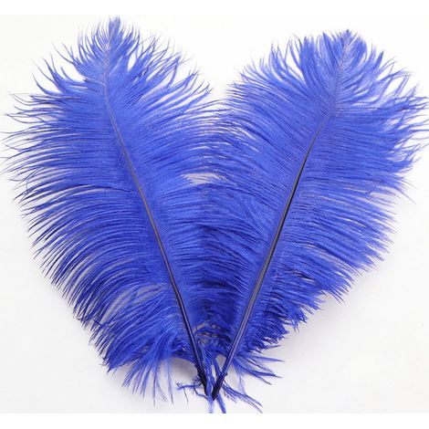 Plumes D Autruche - 32 cm - Décoration Mariage Centre De Table - Arrangement Floral DIY - 1 Pièce - Bleu Royal (1/5)