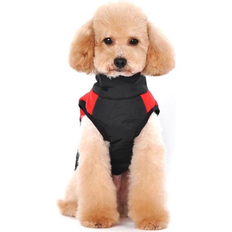 Manteau pour chien - Vêtements pour chien - Vestes d'hiver pour chien - Manteau imperméable pour chien - Veste imperméable pour petits chiens - Manteau d'hiver épais et rembourré - Doudoune pour chien (1/4)