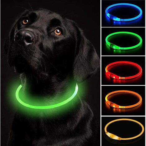 Wiederaufladbares Hundehalsband mit blinkender LED, verstellbarer Länge und wasserdichtem Design – 3 Modi für kleine, mittlere und große Hunde (1/5)