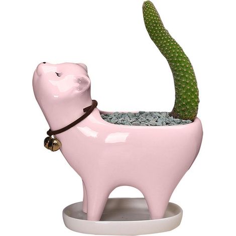 Pots de Cactus en Céramique avec Trou de Drain - Mini Pots pour Plantes Grasses, Déco Bureau et Maison (1/5)