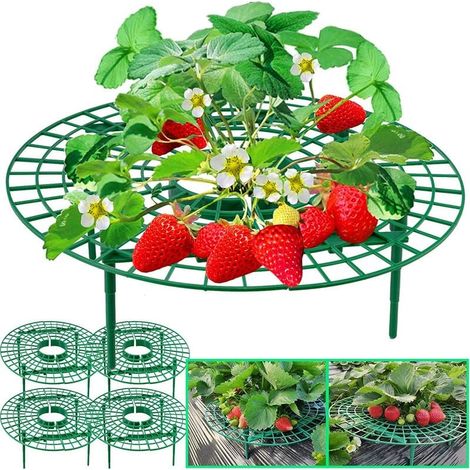 Paquet de 5 supports de fraises - Support de fraisier Supports de culture de fraises Cadre de culture de fraises, gardant les fruits surélevés pour éviter la pourriture et la saleté du sol (1/5)