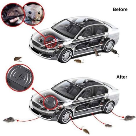 Répulsif Ultrason - 12 kHz à 25 kHz - Pour Voiture - Alimentation 12 V - Anti-Martres - 1 Pièce (1/4)