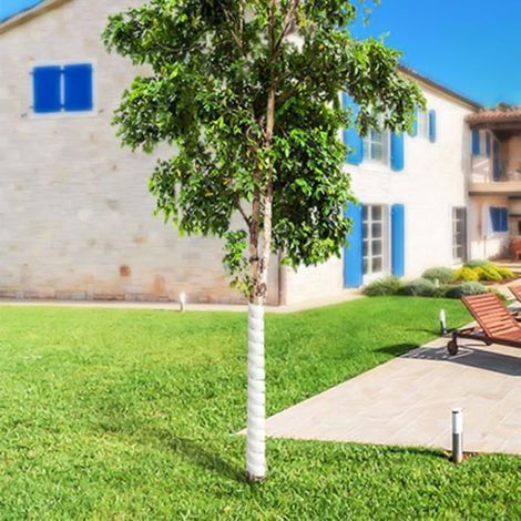 Lot de 4 tubes de protection efficaces pour tronc d'arbre (1/4)