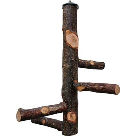 Perchoir en bois pour cage à oiseaux, idéal pour les calopsittes, les conures, les aras et les pinsons.