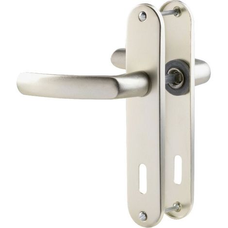 Poignée de porte sur plaque ARGENT- Clé L - Budget - Vachette (1/2)