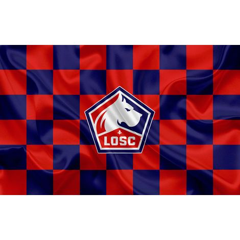 Papier peint panoramique Foot / Football - LOSC - Lille - 130 cm x 81 cm (1/2)