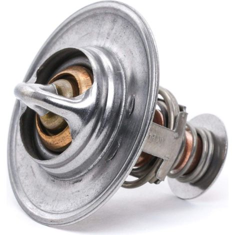 Gates TH22689G1 Termostato Refrigerante (1/2)