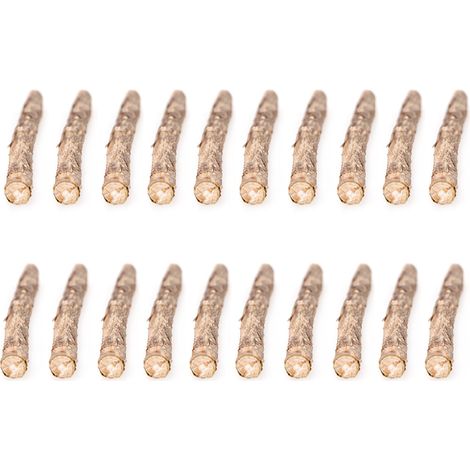 20 natürliche Katzenminze-Sticks (Matatabi) für Katzen, ein Kauspielzeug für die Zahnhygiene von Kätzchen.