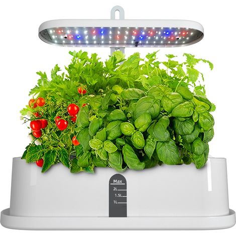 Système de culture hydroponique, kit de jardin d'herbes aromatiques d'intérieur à 10 capsules avec lampe de croissance LED, jardinière intelligente avec minuterie 16 h pour système d'éclairage LED et  (1/5)