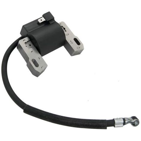 Pack bobine d'allumage haute tension adapté aux références 691060, 592846, 799651 et 499447 (1/4)