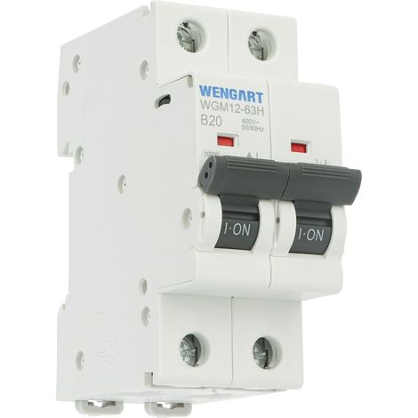 Disjoncteur Bipolaire 2P - 20A - Courbe B - AC 230V - Pouvoir de Coupure 10kA - pour Informatique, Onduleurs Photovoltaïques et Lignes Longues - WGM12-63H (1/5)