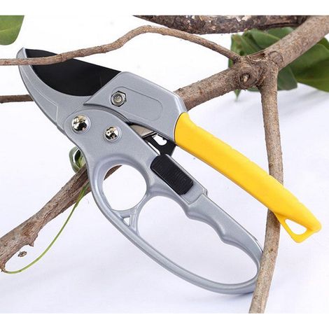 Ciseaux de taille d'arbres, sécateurs de jardin, outils de jardinage pour plantes d'intérieur, cisailles à fleurs