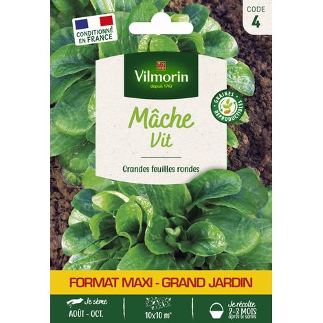Mâche Vit - Grand Modèle Vilmorin (1/2)
