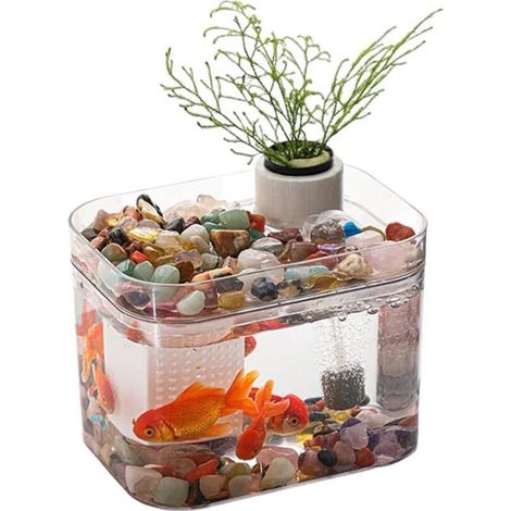 Aquarium Transparent avec Couvercle, Pompe à air USB, décoration de Bureau, Petit Aquarium pour Poissons Betta, crevettes, Poissons Rouges, A (1/5)