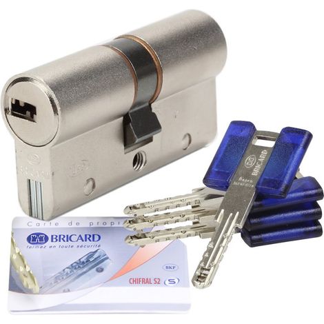 Bricard – Cylindre de serrure haute sécurité débrayable 30x40 mm – 3 clés réversibles – Protection renforcée contre perçage et enfoncement – Barillet Chifral S2