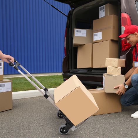 Carrello pieghevole in alluminio, maniglia regolabile a 3 altezze, portata 70 kg, nero DESVIAE (1/5)
