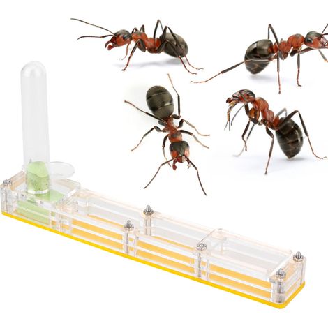 Fourmilière En Acrylique Jaune Avec Tour D Eau - Habitat Observation Pour Fourmis - Design Compact Et Durable - 1 Pièce (1/5)