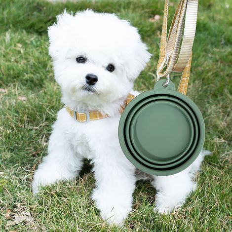 Filiyano-Cadeaux promotionnels pour animaux de compagnie, gamelles pliables, distributeurs de croquettes d'extérieur pratiques en silicone pour chiens (1/5)