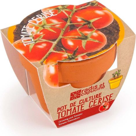 Mini kit de culture - Tomate Cerise bio - 6cm