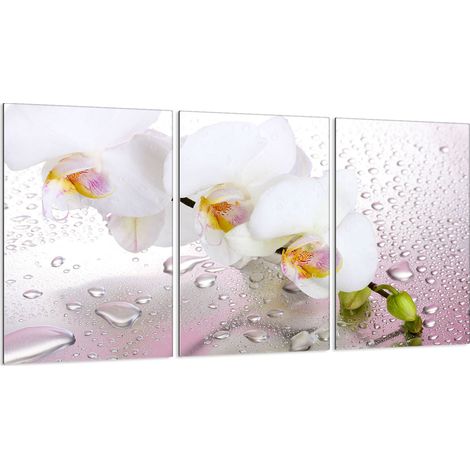 Plaque de protection en verre pour poêle 3x30x52 (1/5)