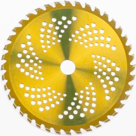 Disque Widia 40 pointes pour débroussailleuse (1/2)