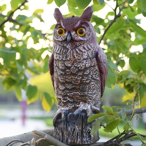 Owl, bird scarer decoy, realistic coloring, 17 cm x 15 cm x 41 cm (1/5)