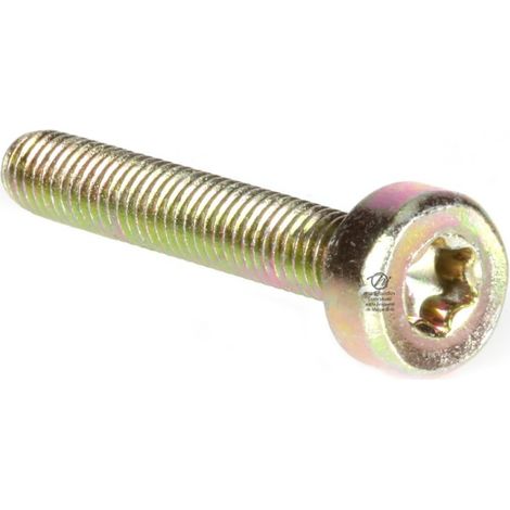 Vis Torx 27 M5 x 30 pour tronçonneuse Stihl 021 MS210. Par 10