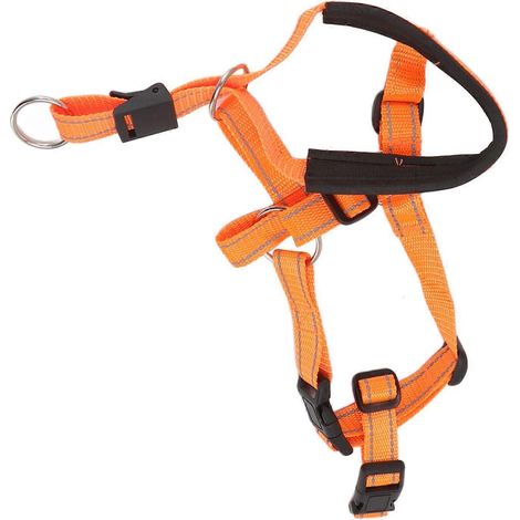 Atmungsaktives Hunde-Kopfhalsband mit verstellbarem Riemen für den Außenbereich, Orange XL