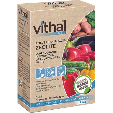 POLVERE DI ROCCIA ZEOLITE VITHAL BIO  kg.1    VITHAL