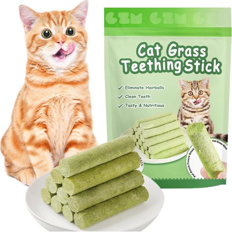 Bâtonnets à mâcher pour chat à l'herbe à chat pour hygiène dentaire et élimination des boules de poils