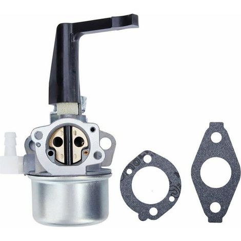 696065 697422 Carburateur avec joint de montage adapté pour Briggs & Stratton 110402 110412 215369 Moteur de motoculteur Carb Rototiller Troy Générateur Intek Moteur 696065 697422 696065 697422 (1/5)