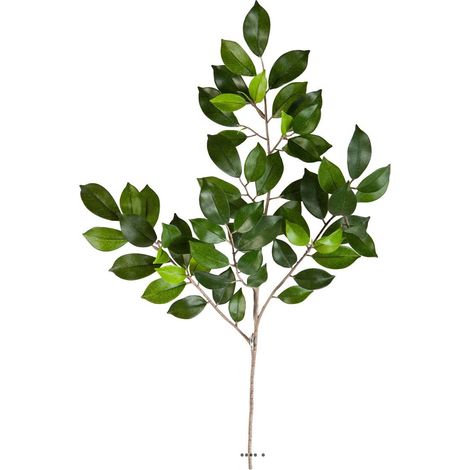 Branche de feuillage Ficus artificiel, 64 feuilles, H 48 cm Vert - couleur: Vert