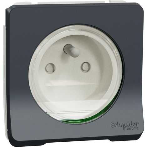 Mureva Styl - Steckdose 2P+T - modular - IP55-IK08 - automatische Verbindung - grau - SCHNEIDER ELECTRIC - MUR36133 (1/2)