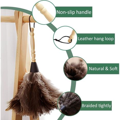 Plumeau en plumes d'autruche avec manche en bois, 30 cm (1/4)