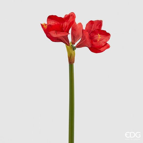 EDG Enzo De Gasperi Ramo Amaryllis Real Artificiale 3 Fiori H 66 Cm Red (1/3)