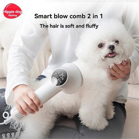 Fournitures pour animaux de compagnie, Produits pour animaux de compagnie, Toilettage pour chiens, Sèche-cheveux pour animaux de compagnie blanc-- (1/5)