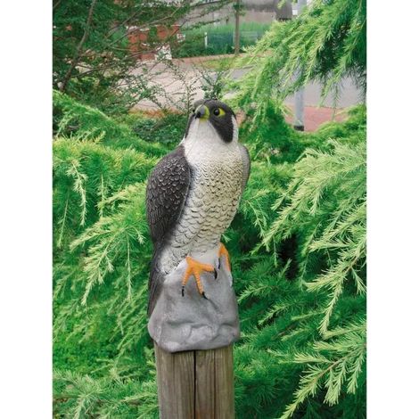 Figurine ubbink falcon 40 cm wetterfest