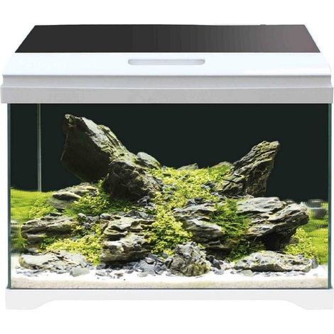 Klarglasbehälter Amtra Modern 40 komplett mit LED-Beleuchtung und Innenfilter