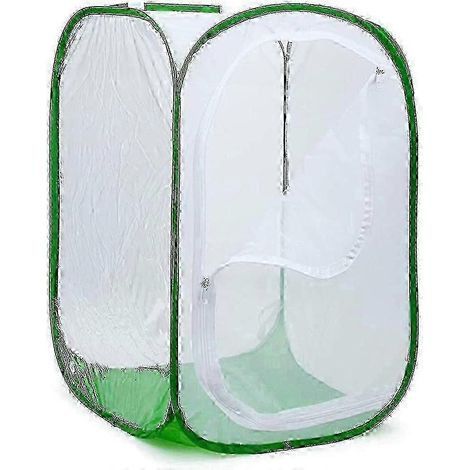 Grand terrarium pliable pour papillons, avec filet à insectes et papillons pour l'élevage. (1/3)