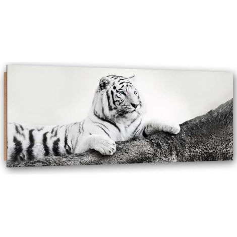 Quadro deco panel, Tigre vigile - 150x50 (1/5)
