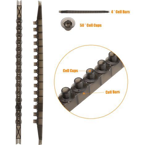 barrettes pour cellules d'abeilles et 50 godets pour l'élevage de reines apicoles (1/5)