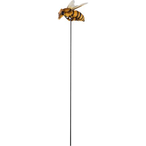 Ape su una vetta alta 78,4 cm