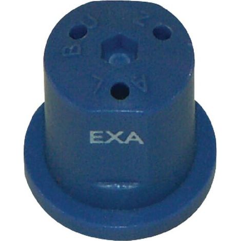 Buse ALBUZ EXABLUE