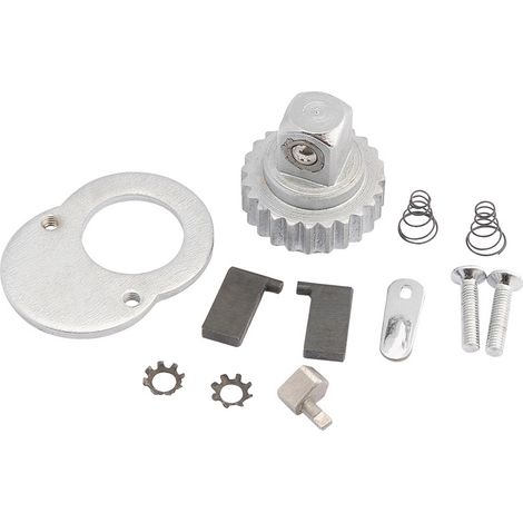 Draper Ratchet Repair Kit for 58130 and 58137 (58539) (1/5)