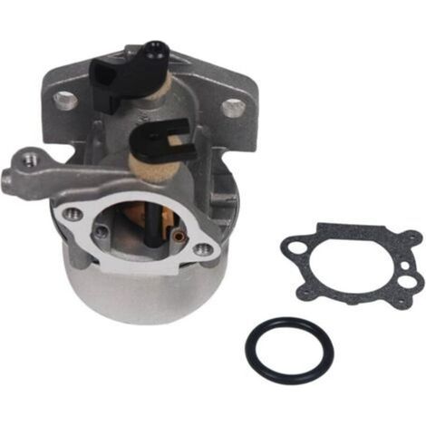 Carburetor for Briggs & Stratton 799866 replaces 796707 794304 with gasket