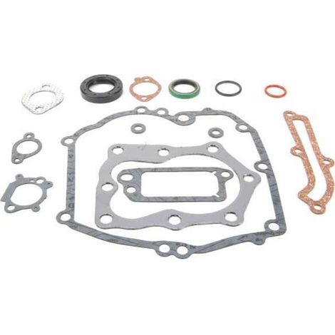 Joint pour Briggs & Stratton Quantum 12 CID (1/3)