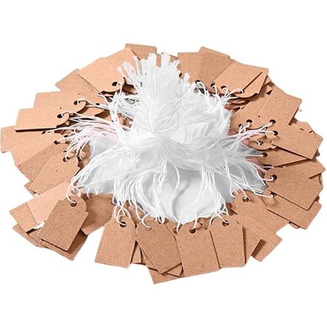 Beschreibbare Preisschilder mit Schnur für Einzelhandel & Schmuck – Kraftpapier – 500 Stück – 25 × 15 mm – Blanko-Geschenkanhänger für Schmuck – für Bekleidungspreise, Garage (1/5)